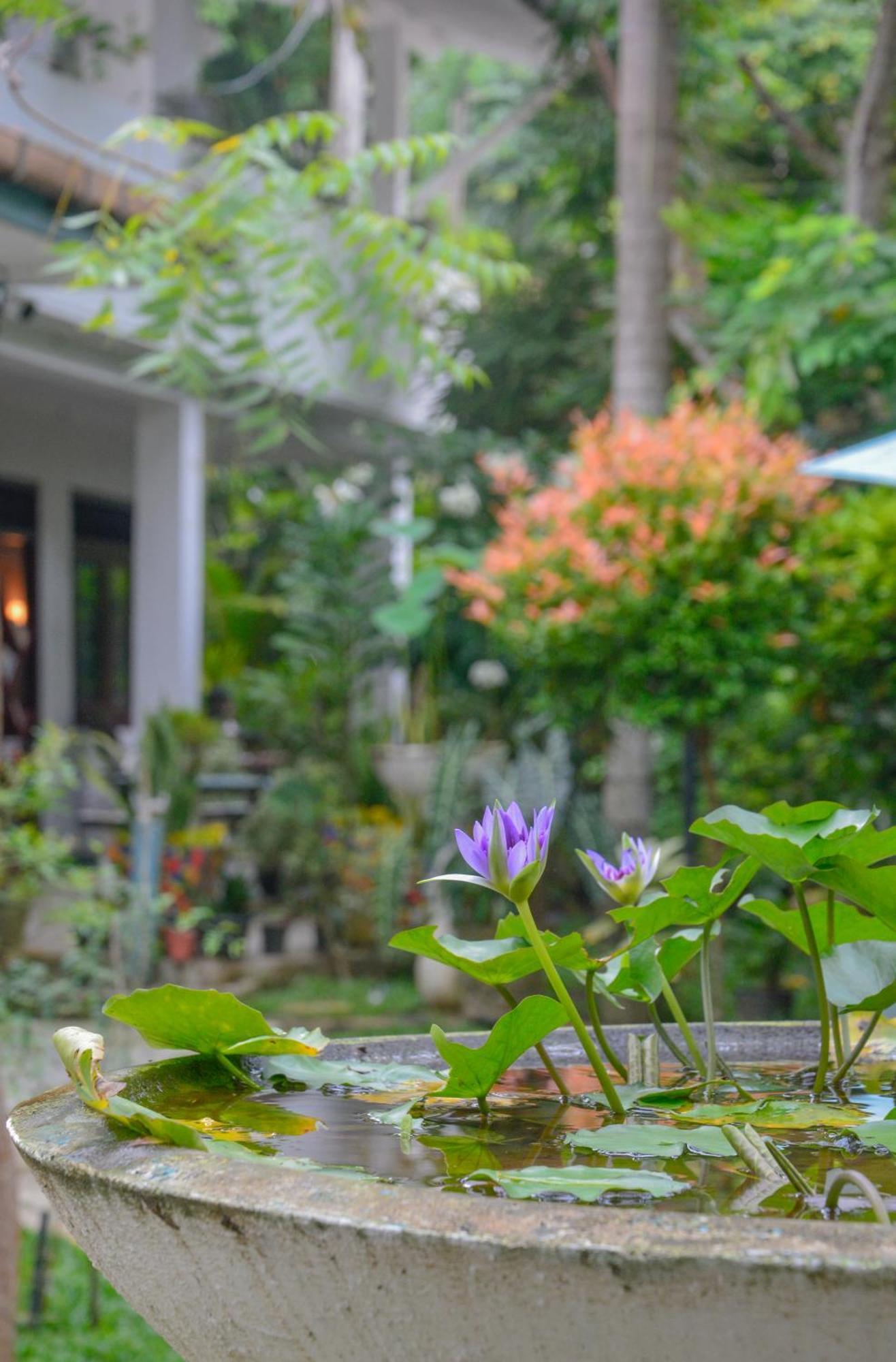 Palm Garden Guest House Galle Ngoại thất bức ảnh